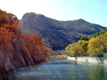 探寻黄大仙的特马，一场神秘而奇妙的旅程黄大仙特马笠的资料和历史背景介绍